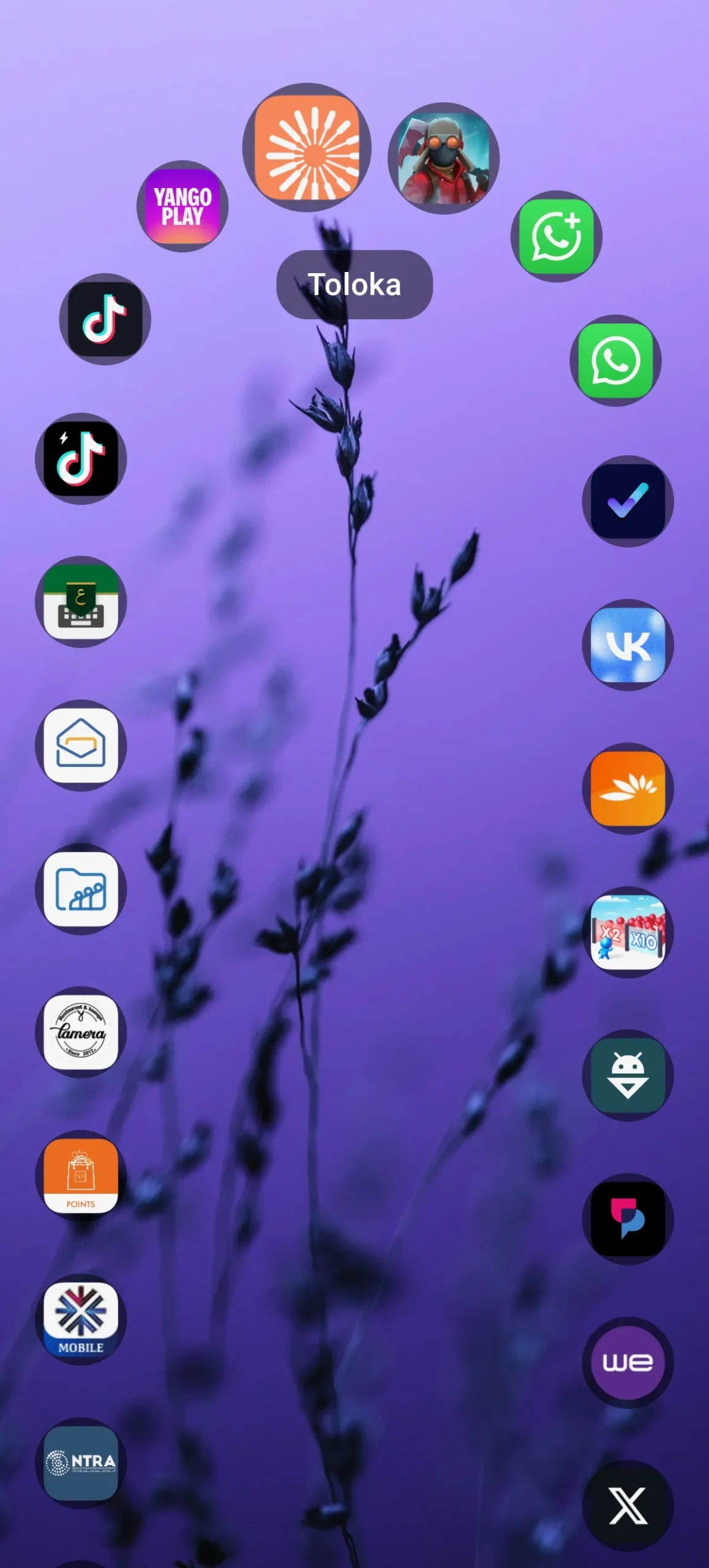 Phone Mockup