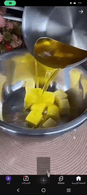 عبير مصطفي